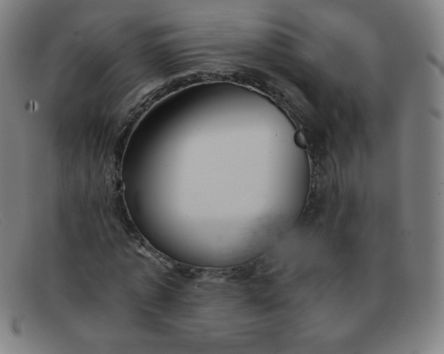 X0000091340773200708311455