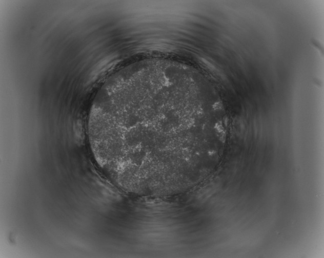 X0000091340774200708311455