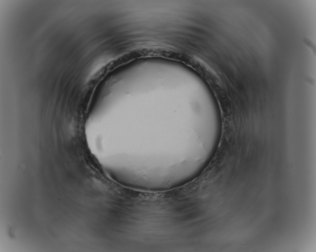 X0000091340775200708311455