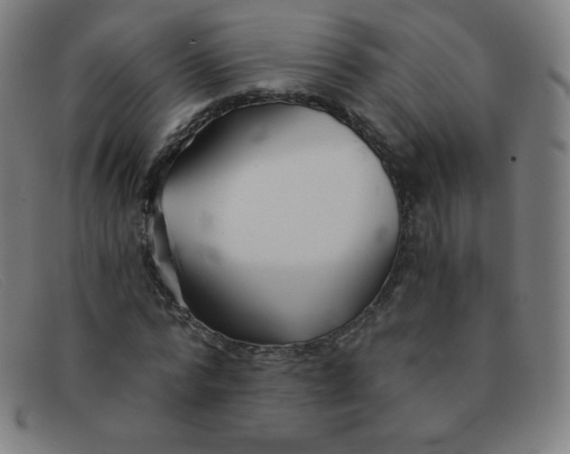 X0000091340776200708311455