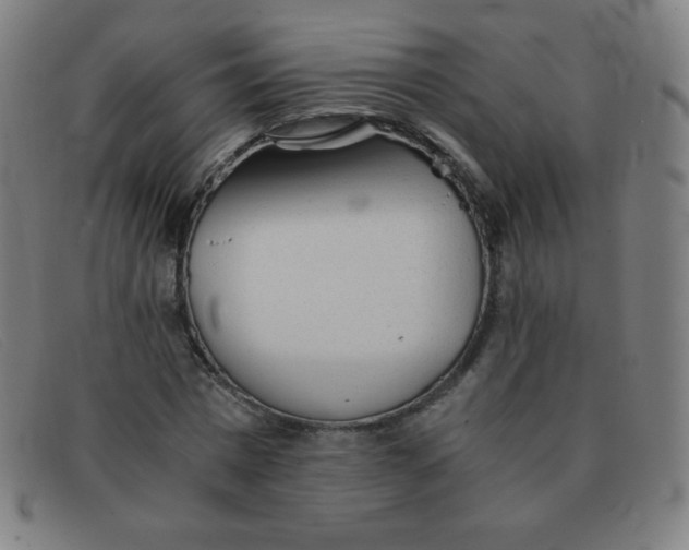 X0000091340777200708311455