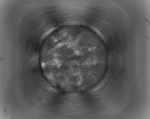 X0000091340778200708311455