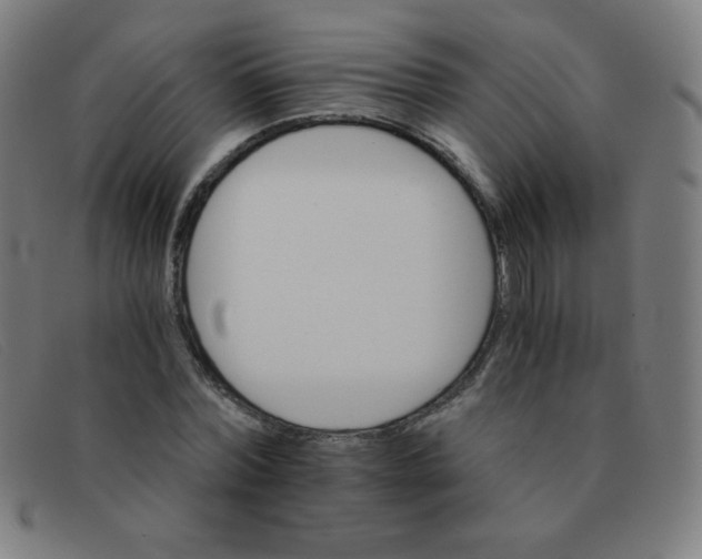 X0000091340780200708311455