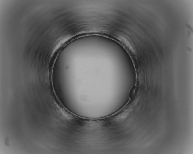 X0000091340781200708311455