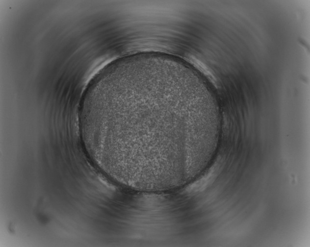 X0000091340782200708311455