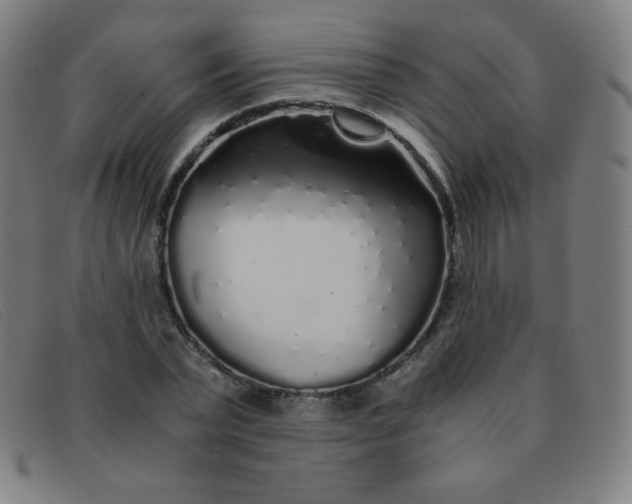 X0000091340783200708311455