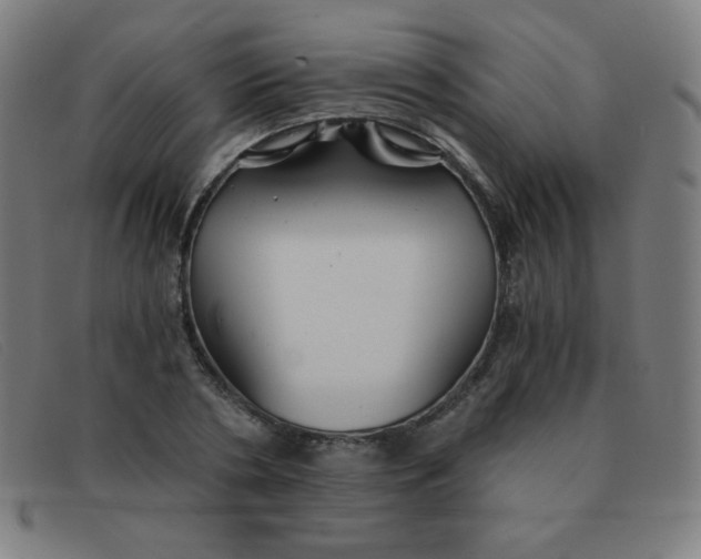 X0000091340786200708311455