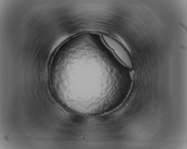 X0000091340787200708311455