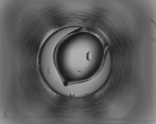 X0000091340788200708311455