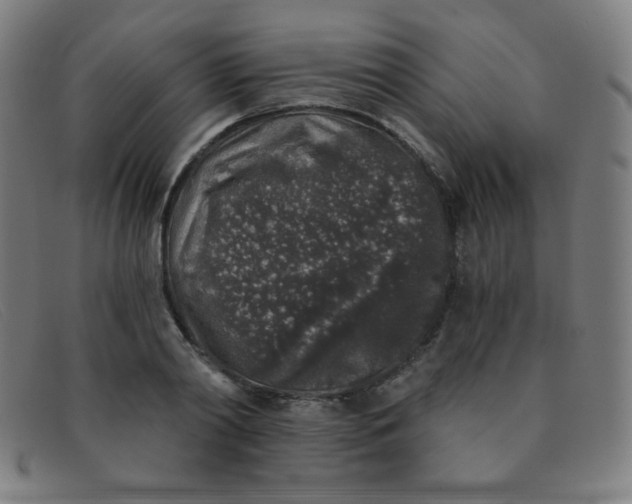 X0000091340790200708311455