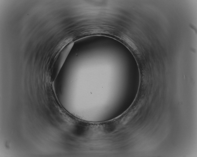 X0000091340793200708311455