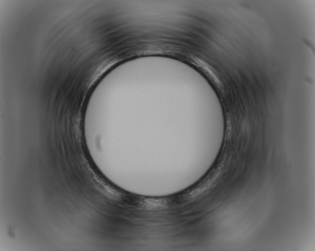 X0000091340794200708311455