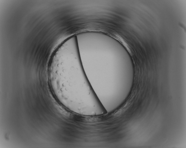 X0000091340795200708311455