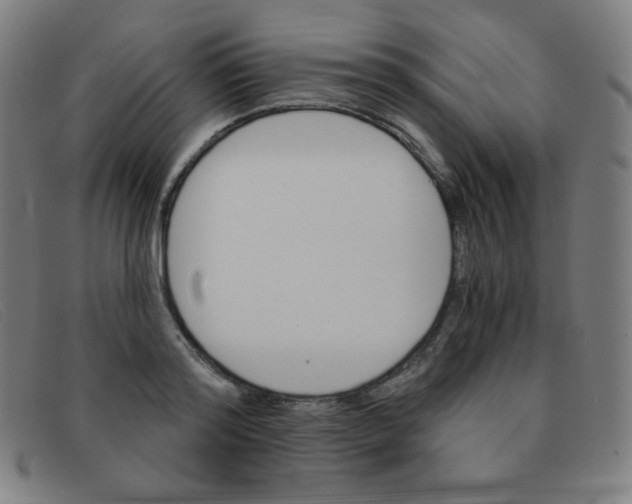 X0000091340796200708311455