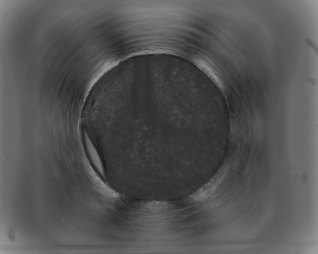 X0000091340797200708311455