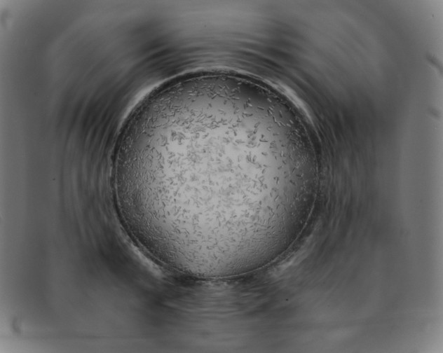 X0000091340799200708311455