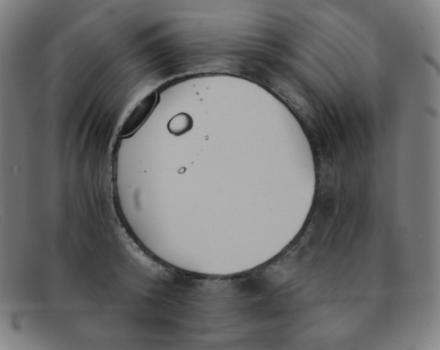 X0000091340800200708311455