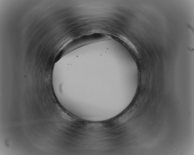 X0000091340801200708311455