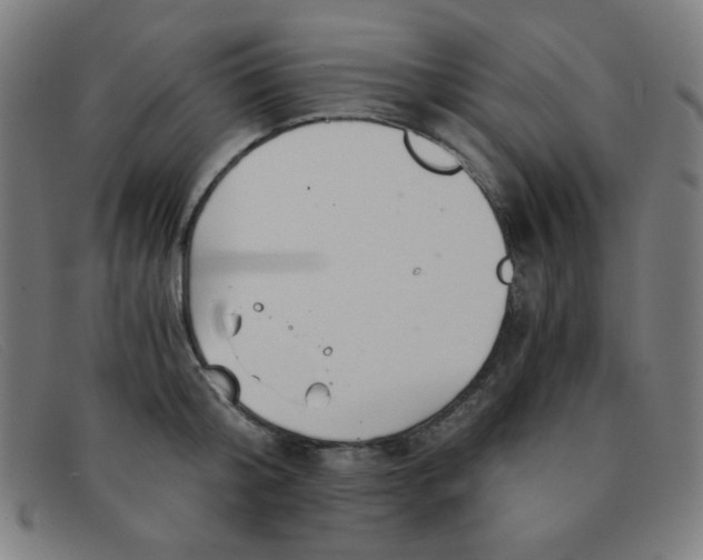 X0000091340804200708311455