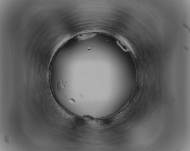 X0000091340805200708311455