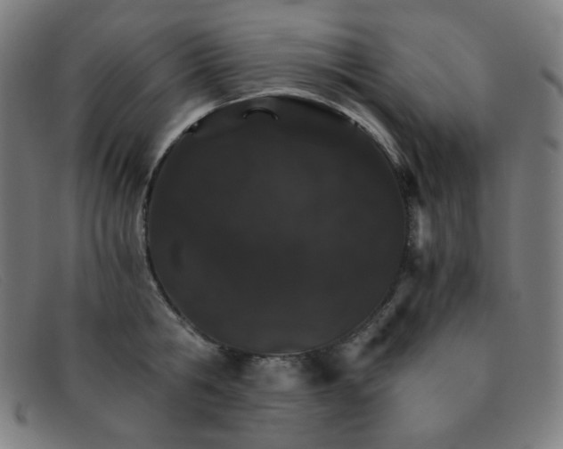 X0000091340806200708311455