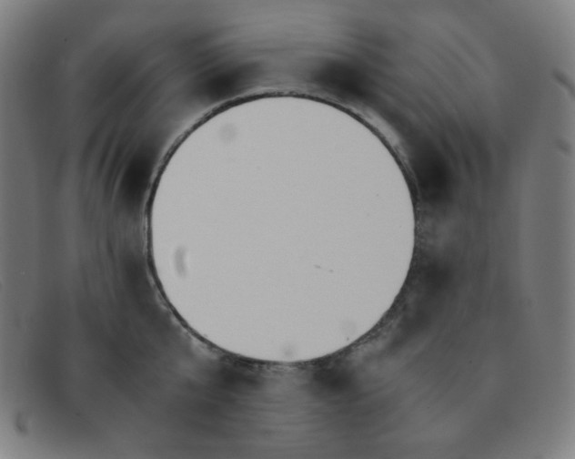 X0000091340807200708311455