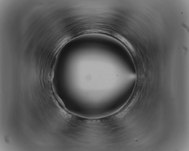 X0000091340809200708311455