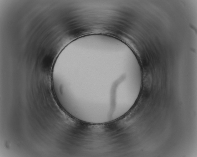 X0000091340810200708311455