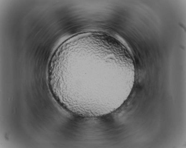 X0000091340811200708311455