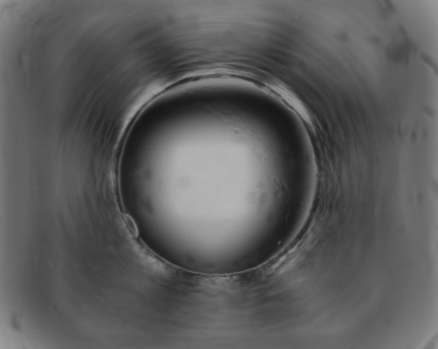 X0000091340813200708311454