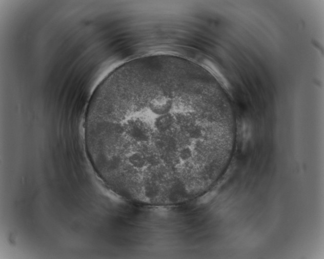 X0000091340814200708311454