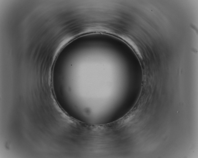 X0000091340815200708311454