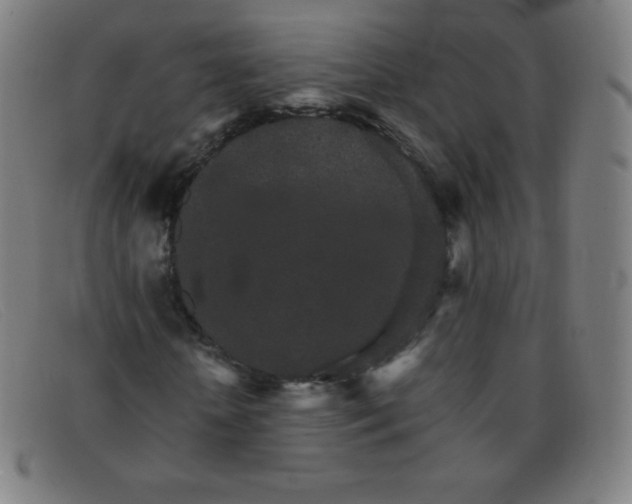 X0000091340818200708311454