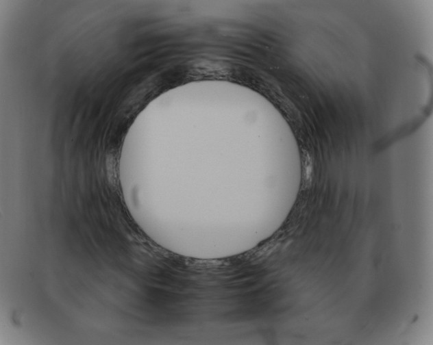 X0000091340819200708311454