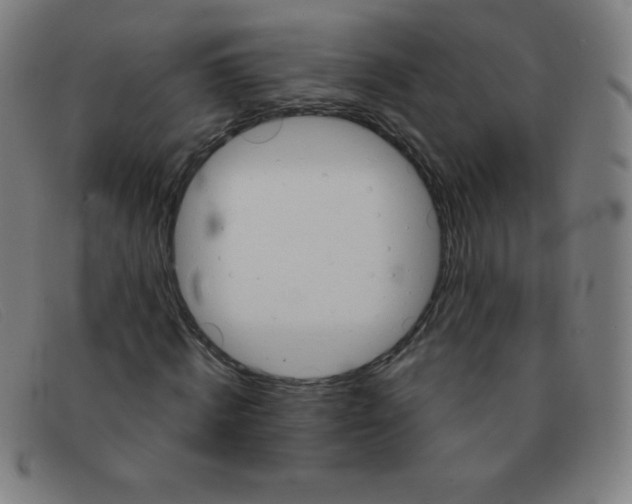 X0000091340820200708311454