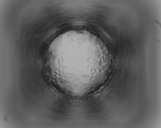 X0000091340821200708311454