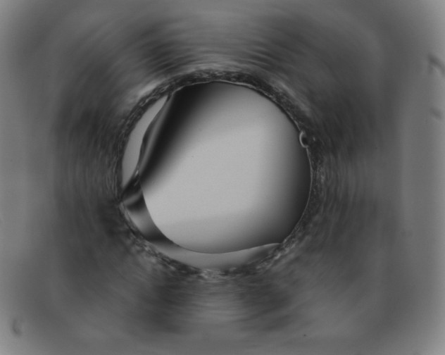 X0000091340822200708311454