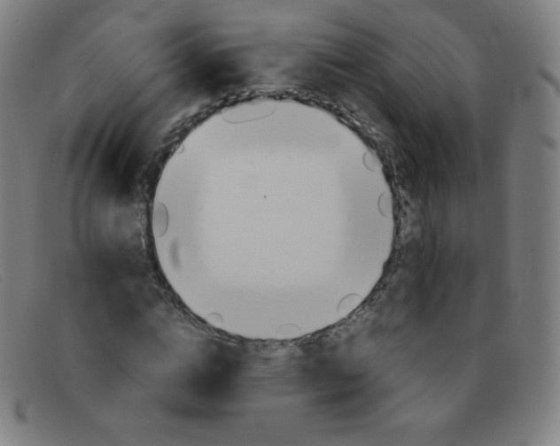 X0000091340824200708311454