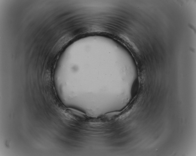 X0000091340825200708311454