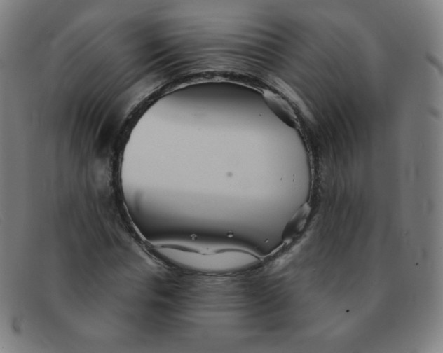 X0000091340826200708311454