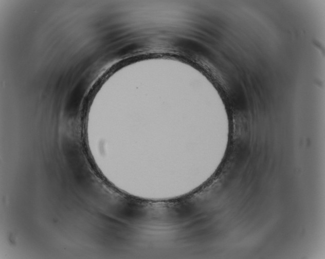 X0000091340828200708311454