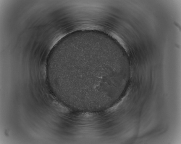 X0000091340829200708311454