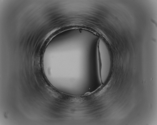 X0000091340830200708311454