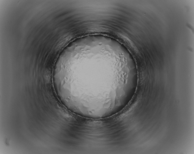 X0000091340833200708311454