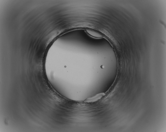 X0000091340834200708311454