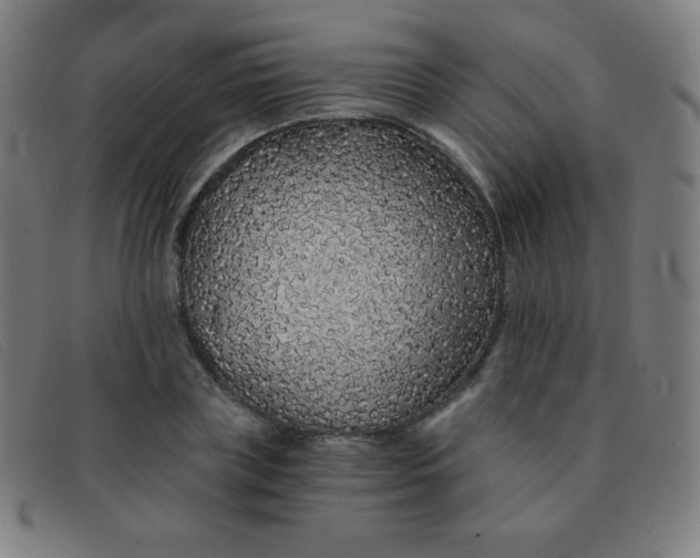 X0000091340835200708311454