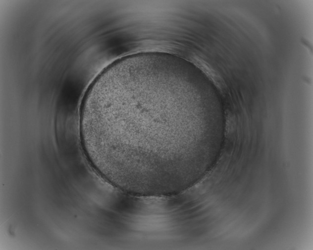 X0000091340836200708311454