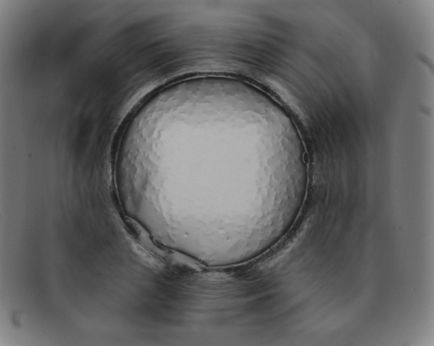 X0000091340837200708311454