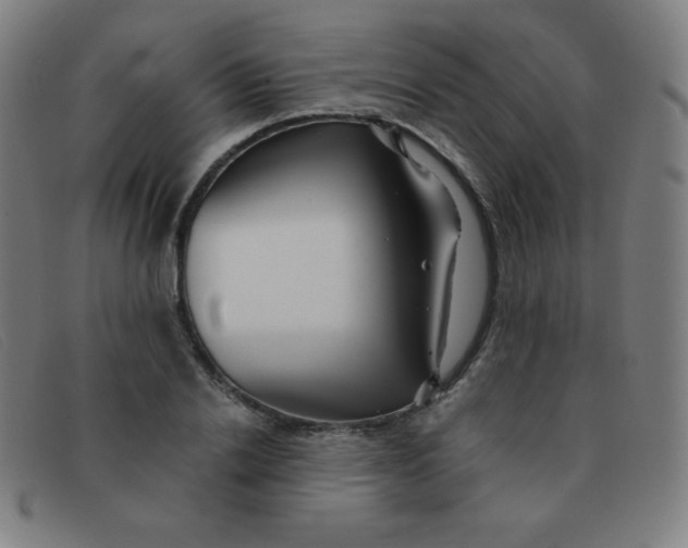 X0000091340838200708311454