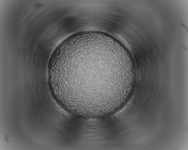 X0000091340839200708311454